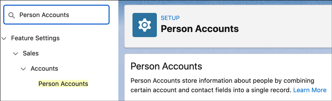 Vista Person Accounts Salesforce tras Summer '22 Release 